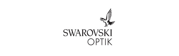 Sponsor silver